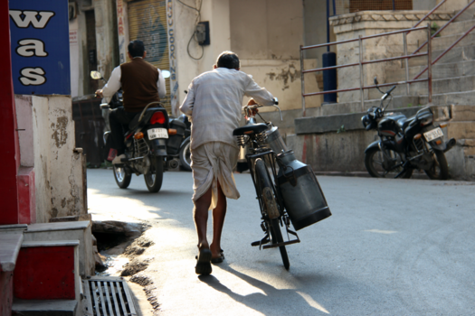 India - The Milkman