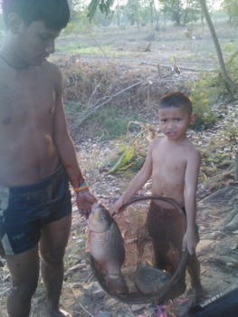 Bangkok - puur thailand