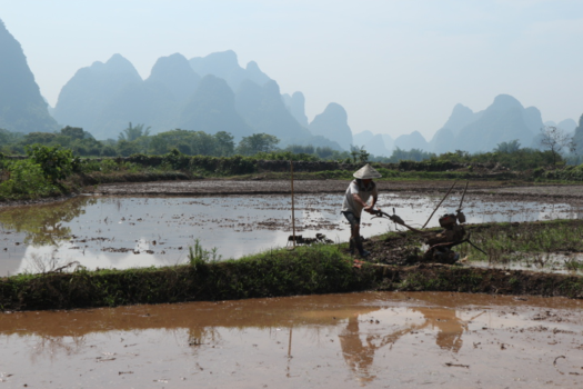 China - A farmer in Guilin!