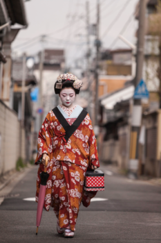Kyoto - Maiko Fukuhana-san loopt terug naar haar geishahuis Shigemori, Kyoto - Japan