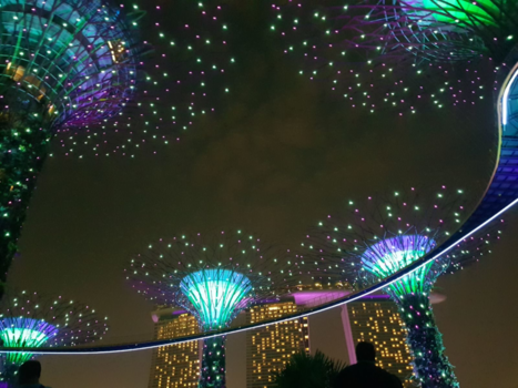 Singapore - Gardens by the bay