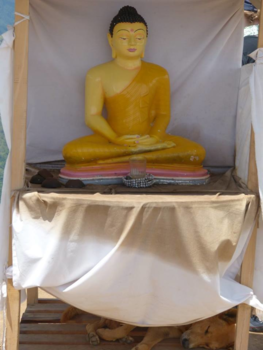 Ella - Dog resting at the holy spot