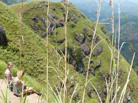 Ella - Kijkje door het gras