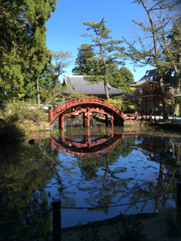 Japan - Japanse brug