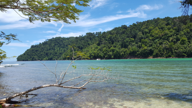 Kota Kinabalu - Sapi Island