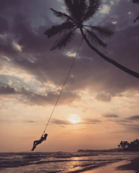 Sri Lanka - Playing and swinging  of the palm tree