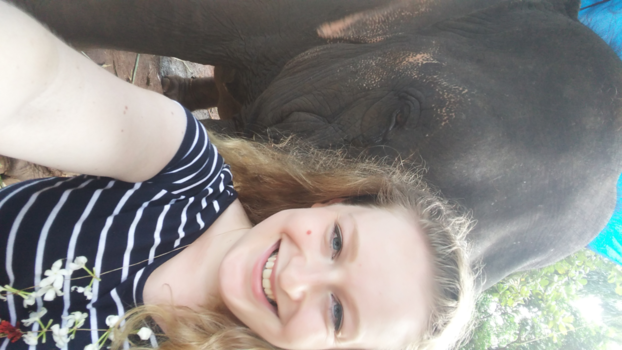 India - Elephantfie