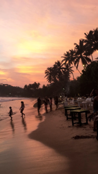 Sri Lanka - Surf sunset
