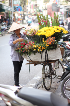 Vietnam - Neem vaker een bloemetje mee !