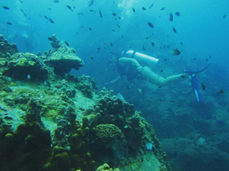 Rondreis Thailand in vier weken - Koh Tao