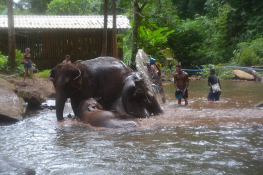 Rondreis Thailand in vier weken - Chiang mai