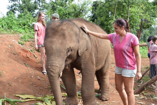 Rondreis Thailand in vier weken - Chiang mai