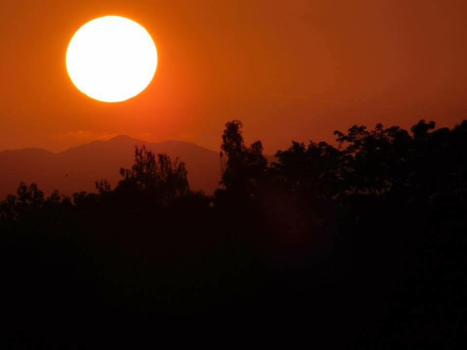 Nepal - SSUNSET-Chitwan National park NEPAL