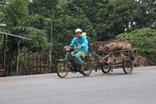 Vietnam - Naar de slager