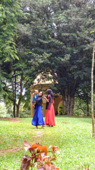 Sri Lanka - Botanische tuin