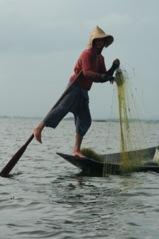 Inle Lake - Visser op Inle Lake
