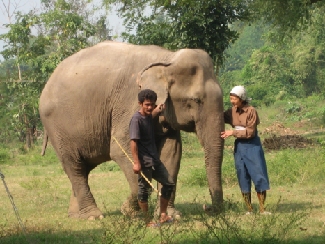 Thailand - Een tweede leven bestaat