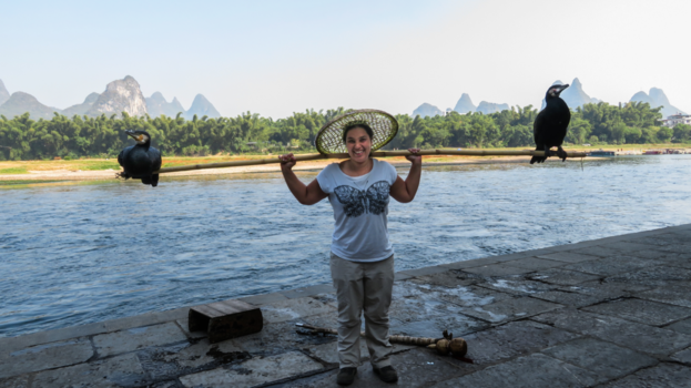 China - Cormorant fishing birds China