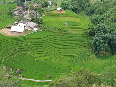 Rondreis Vietnam in vier weken - Rijstvelden in de Muong Hoa Vallei, Black M'Hong stam