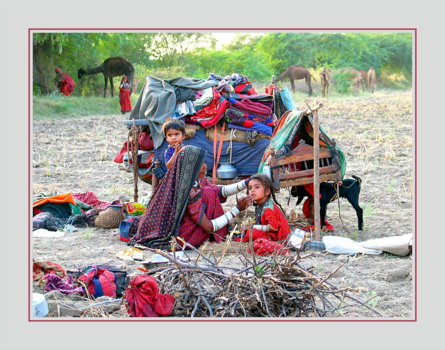 India - The last wanderers