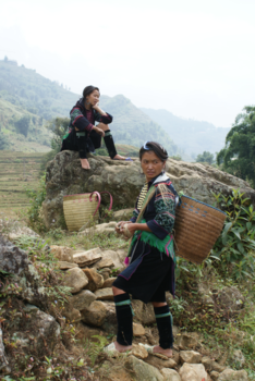 Rondreis Vietnam in vier weken - Just a normal day of work