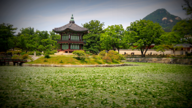 Seoul - A day when we visited the palace