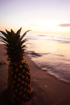 Koh Lanta - Pineapple, sunset and sea