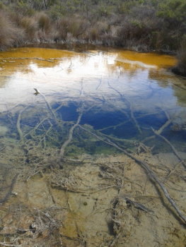 Rondreis Vietnam in twee weken - warm water bron in de buurt van Rotorua, Nieuw Zeeland