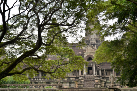 Angkor Wat - Angkor what zichtbaar door de bomen heen