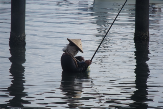 Tokio - elke dag vis