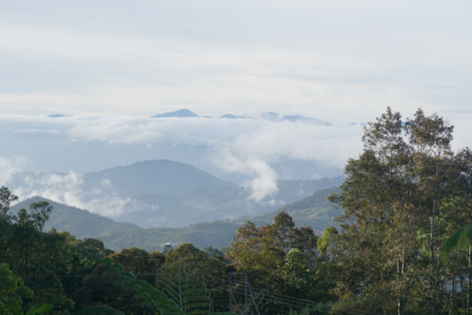 Rondreis door Maleisisch Borneo