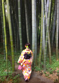 Kamakura - A walk in the bamboo forest