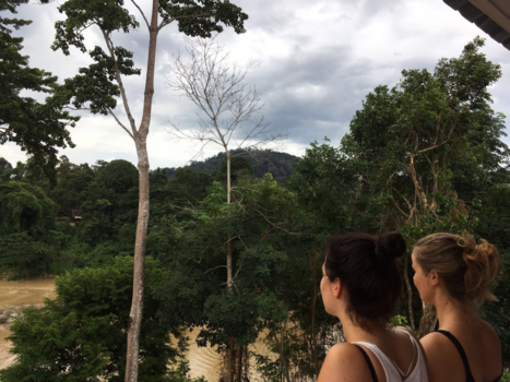 Maleisië - Mooi uitzicht op het regenwoud.