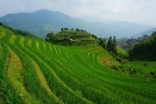 China - Rijst terrassen Ping’an