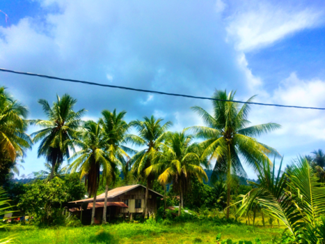 Maleisië - Truly Maleisia