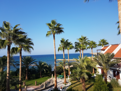 Noord-Cyprus - Heerlijke rustige omgeving met palmbomen.