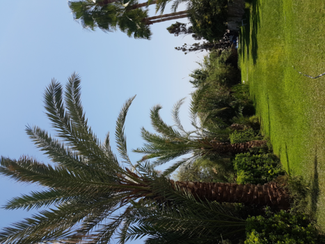 Noord-Cyprus - Op het resort