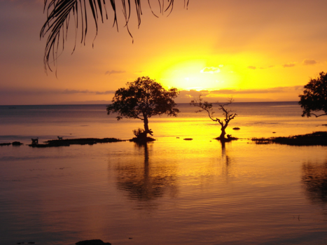 Filipijnen - Sunset op Bohol