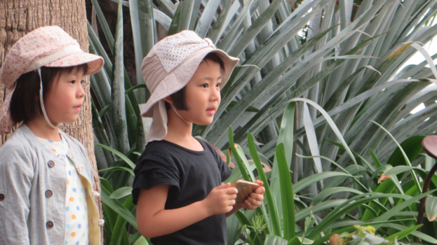 Singapore - Gardens by the bay