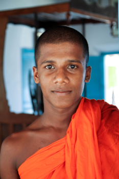 Sri Lanka - serene rust