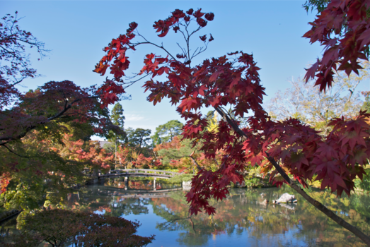 Japan - Herfst in Japan