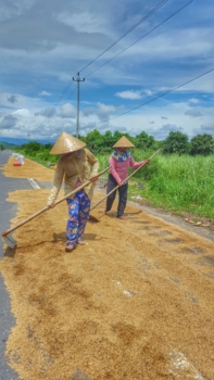 Rondreis Vietnam in vier weken - Embrace the grind
