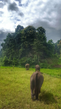 Rondreis Vietnam in vier weken - Pokluk