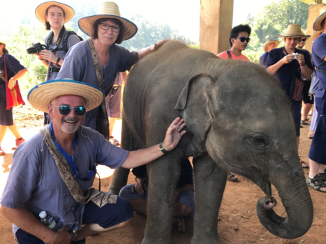 Rondreis Thailand in twee weken - Hugging 'little' orphan elephant Peanut!