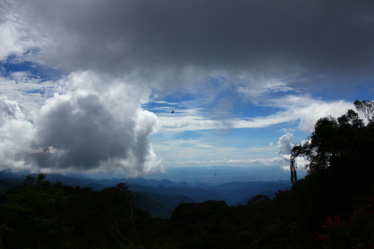 Cameron Highlands - Cameron Highlands, done with tea? GO for a hike!