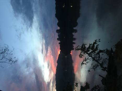 Rondreis door Maleisisch Borneo - Early morning  Kinabatangan River cruise