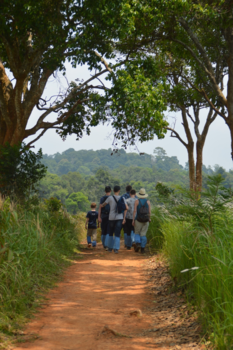 Thailand - Jungle tocht Khao Yai NP Thailand