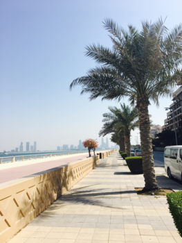 Dubai - The Palm Dubai