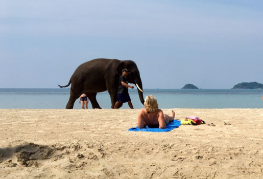 Eilandhoppen in Thailand - Dream beach