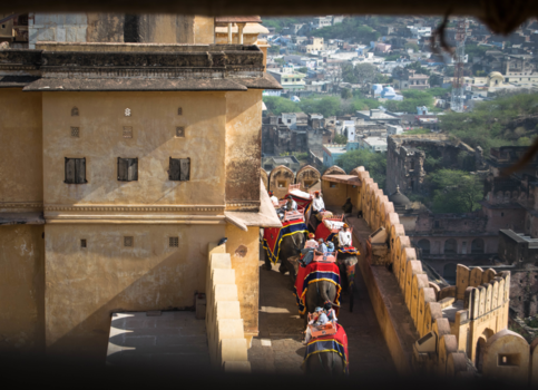 India - Fort view